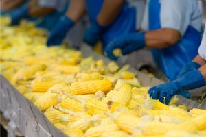 élelmiszeripari üzemek komplex fejlesztése pályázat