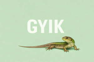 Gazdaságátadás pályázat