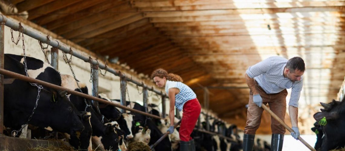 Hogyan segíti az Agrárkamara a piacukat veszítő élelmiszer-előállítókat, kistermelőket?