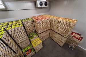 Kertészeti pályázatok