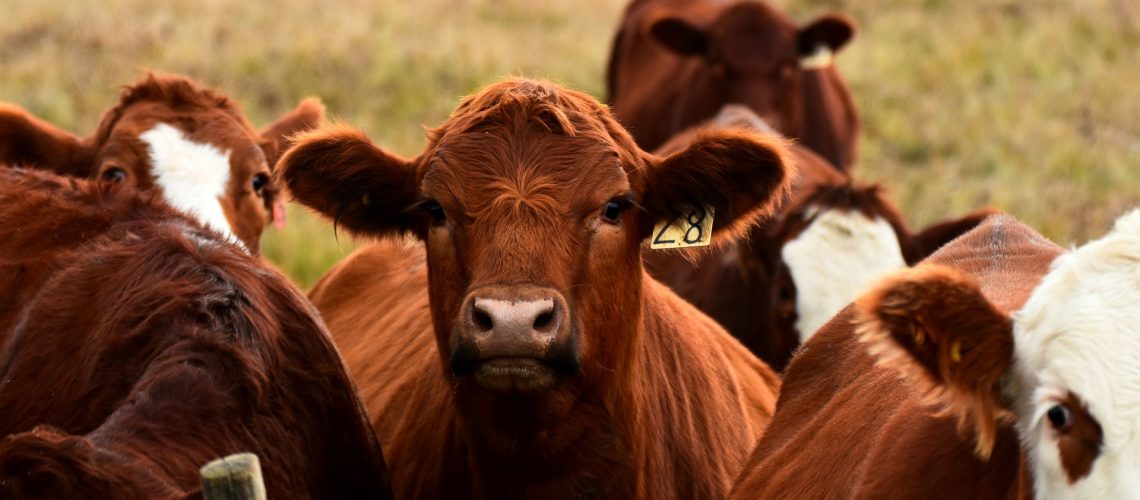 Megjentek a végleges ÁTK pályázatok!