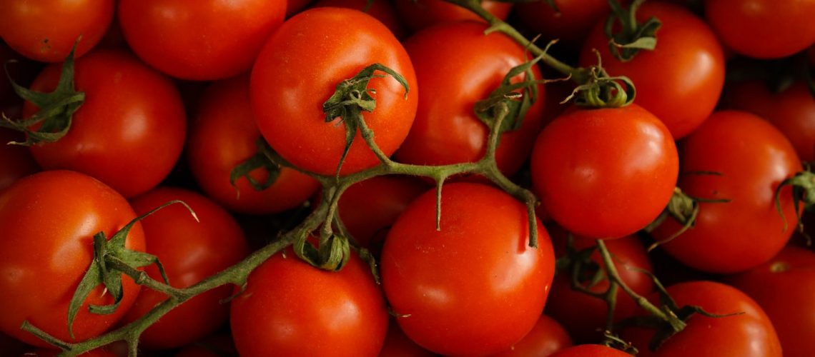 Mezőgazdasági kisüzemek pályázat 2022