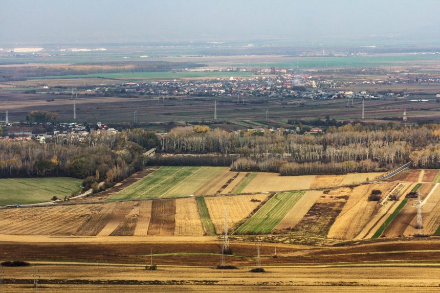 Mezőgazdasági kisüzemi pályázatok