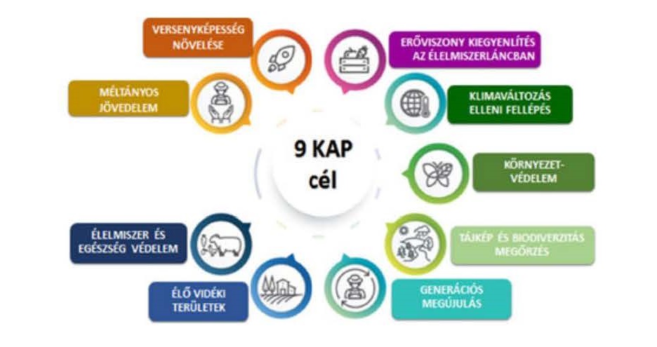 vidékfejlesztési pályázatok-2022