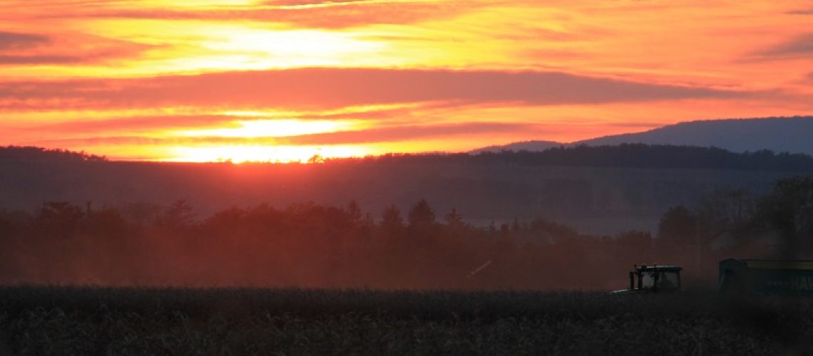 Mire számíthat az agrárium 2021-2027 között?